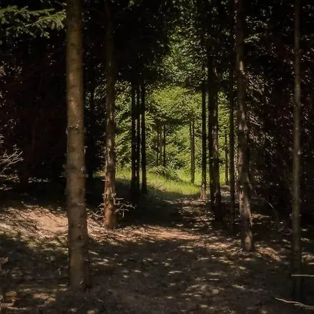 Forest Holiday home *