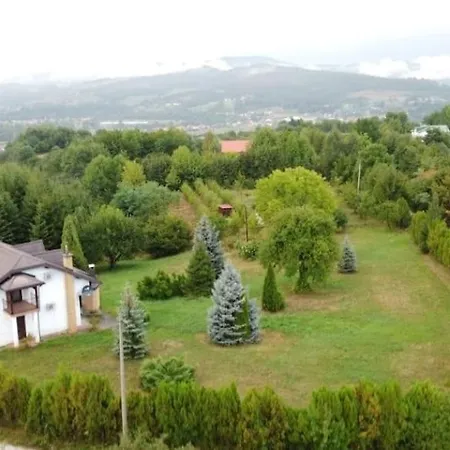 Forest * Visoko