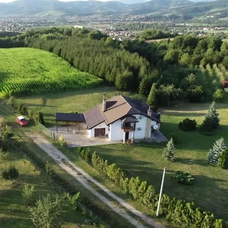 Forest Visoko