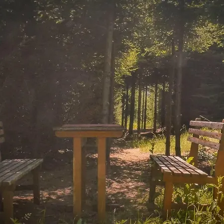 Forest Holiday home